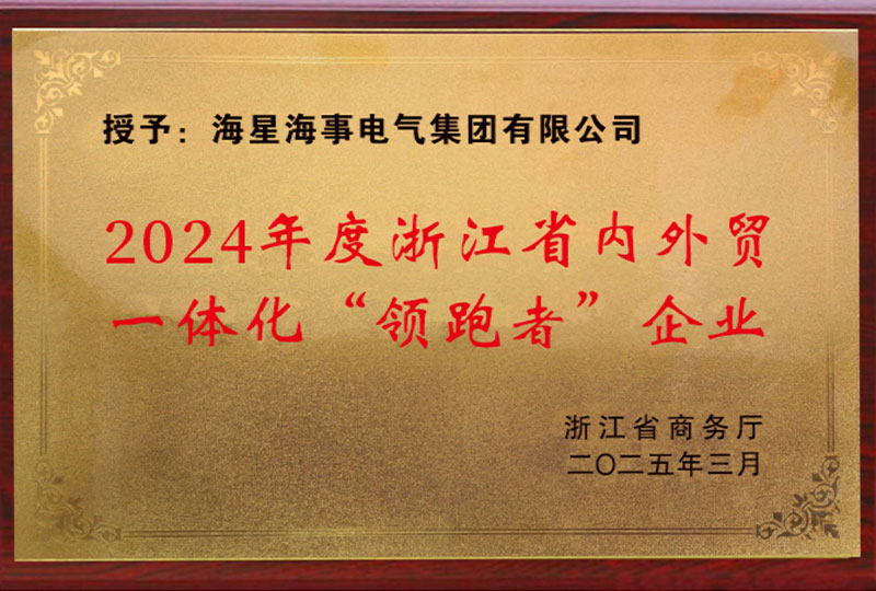 2024年度省内外贸一体化