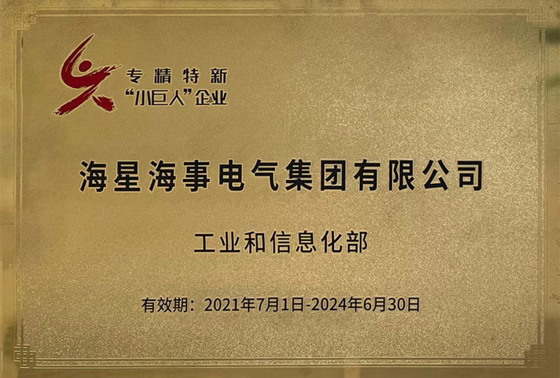 专精特新”小巨人“
