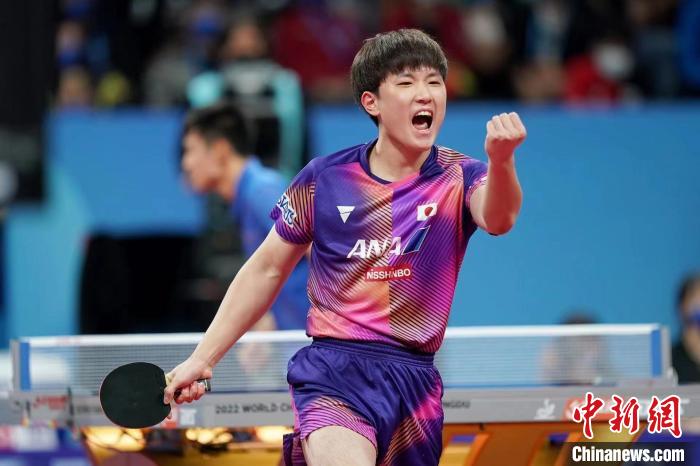 张本智和半决赛力克王楚钦樊振东 日本男团险胜